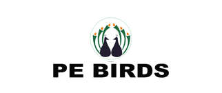 PE Birds